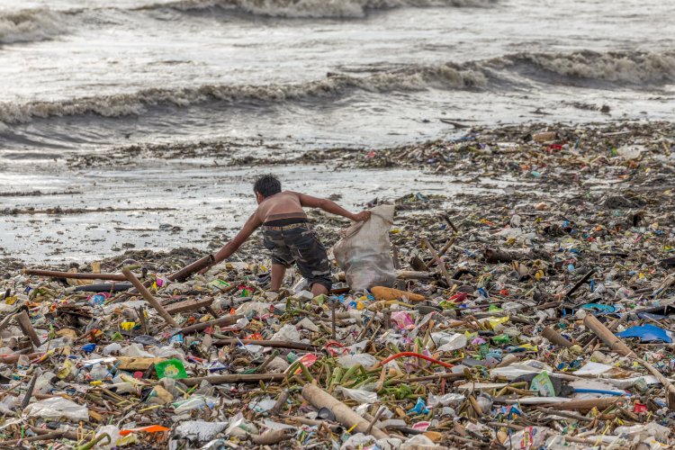 DU PLASTIQUE  POUR SURVIVRE